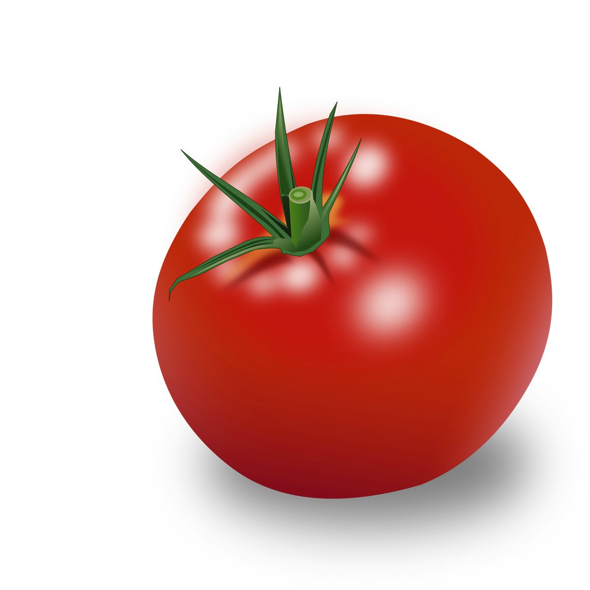 tomato_dengaku's profile picture. 本、映画、ランニング。 好きなトマトジュースは、カゴメのストレート（無塩）。