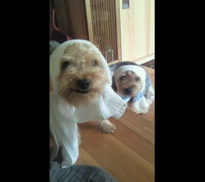 hKHEvfXd91CLuzA's profile picture. 楽しく明るく