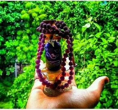 TarunCh51100535's profile picture. Chaudhary