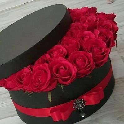 younis955's profile picture. 