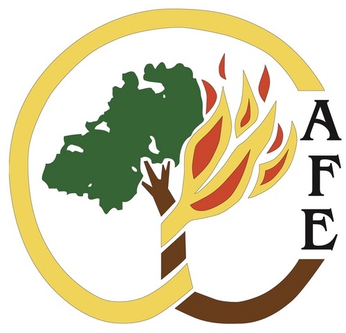fireecology Profile Picture