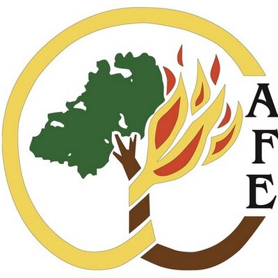 Partner Webinar Series: Integrating Public Health into Forest and Fire  Management — Association for Fire Ecology