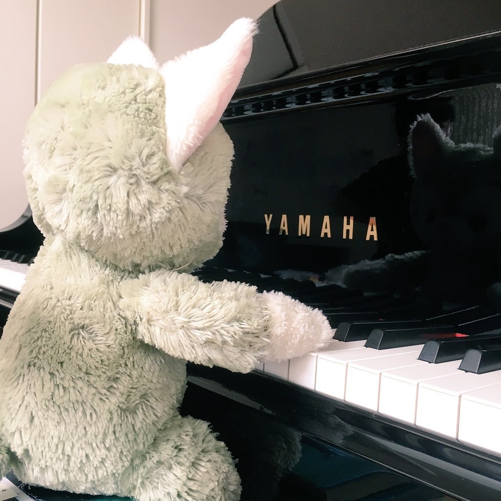 mio921's profile picture. 高専4年バレーボール部の息子🏐＊高校2年娘マーチングバンドにてカラーガードで頑張り中。