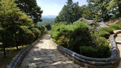 lphDVvJezioL1aY's profile picture. 