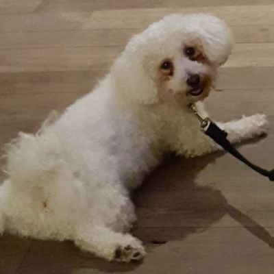 _rach_hcar_'s profile picture. 