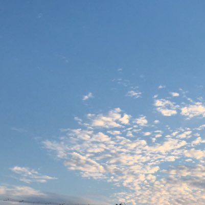 多海ゆいさんのプロフィール画像