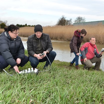 SulliedSediment's profile picture. 