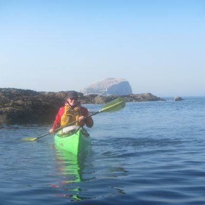 alicecorb's profile picture. 