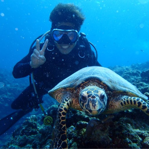 海が大好きで🏝沖縄移住🐠 仕事はダイビングインストラクターをしています🤩🌈 ツアーでの出来事や、沖縄の海の魅力を伝えていきまーす😆✨コメントフォローはお気軽に🦞😊