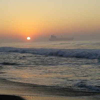 ppereira1118's profile picture. 