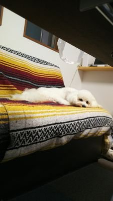 P2Fs6tnGlza4rEy's profile picture. よろしくお願いします