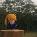 Trump on a Stump (@TrumpOnStump) Twitter profile photo