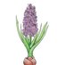 Holt Garden Centre (@holtgardenc) Twitter profile photo Holt Garden Centre (@holtgardenc) Twitter profile photo