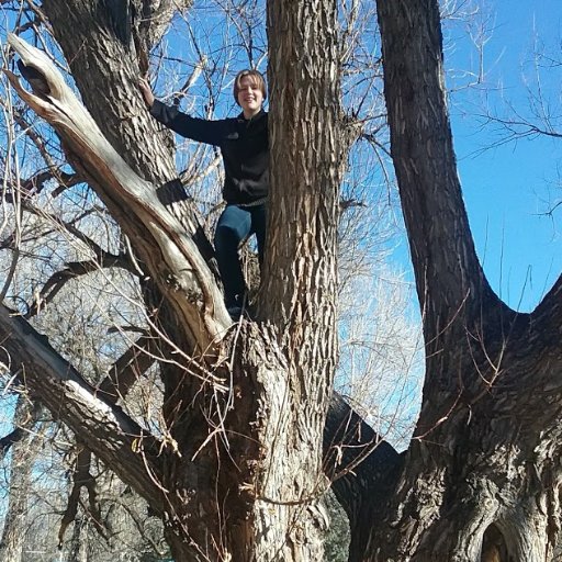 GoodnightAudrey's profile picture. College student, math major, big fan of cats