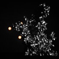 Metalura (@metalurafw) 's Twitter Profile Photo