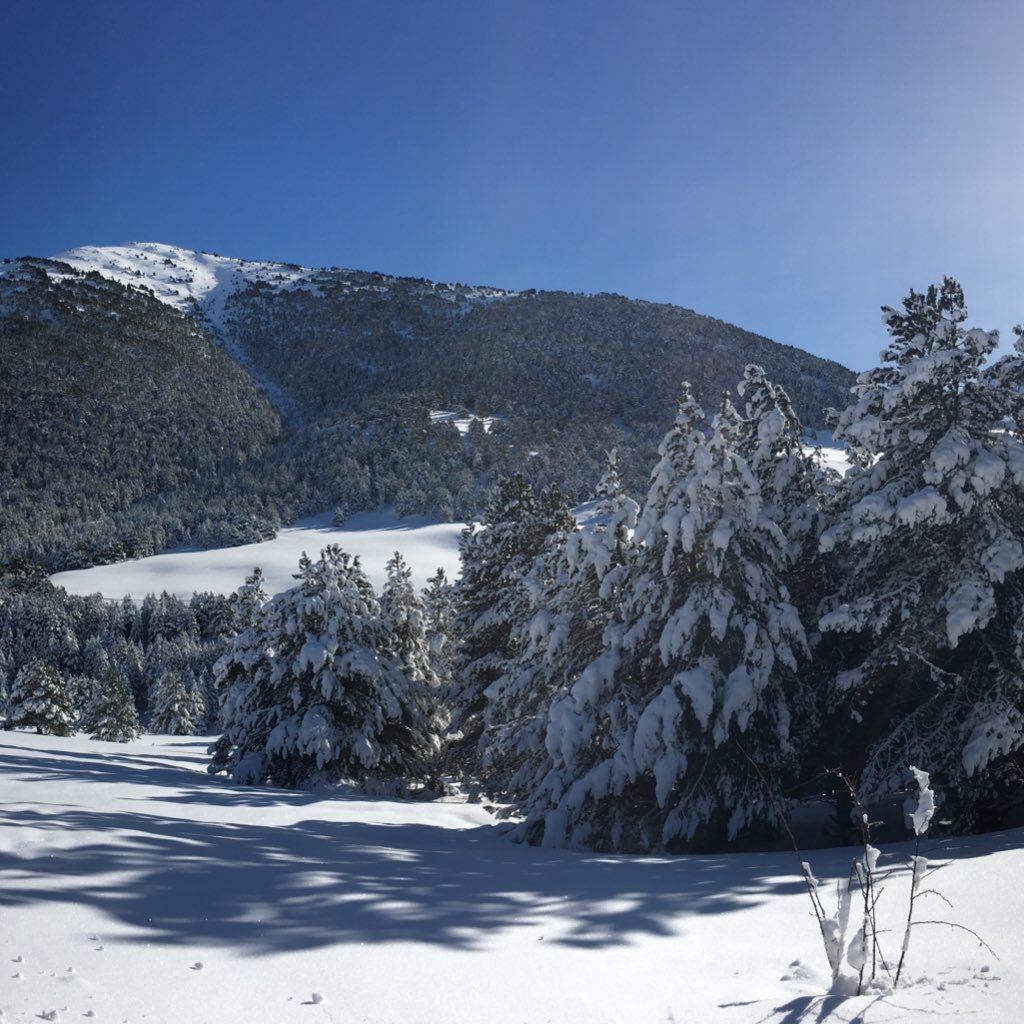 Ter1986's profile picture. 