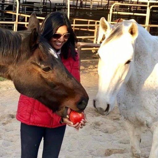 I'm based in @CNN's Los Angeles Bureau, where I hunt & gather the news. Also the referee, caterer, babysitter and boss-lady to my horses, Misty & Gatsby! 🐴