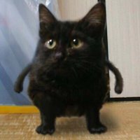 OverDrive (@aboverdrive) 's Twitter Profile