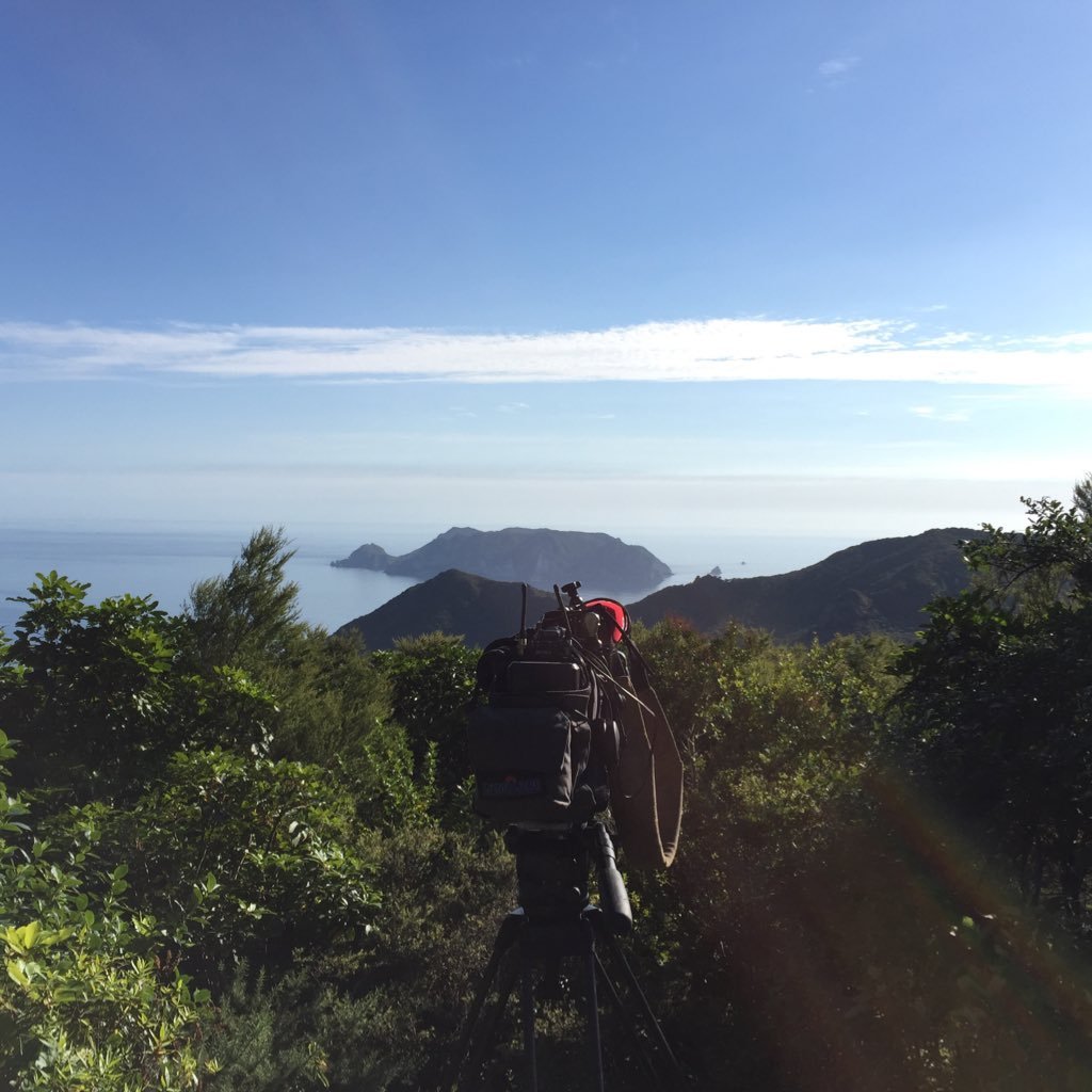 JennySuo's profile picture. 1 News reporter based in Auckland. Stories and good jokes to Jenny.Suo@tvnz.co.nz