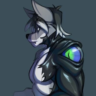 Haviさんのプロフィール画像