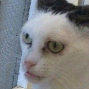 murnyarya's profile picture. 