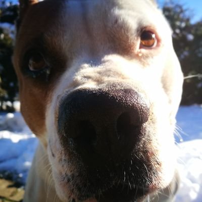 kum_na_psa's profile picture. 