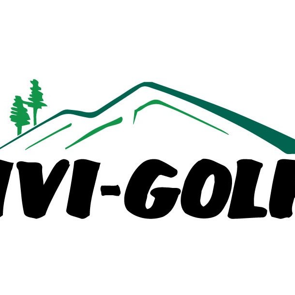 Sales Manager @ IVI Golf