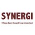 SYNERGI (@syncopegroup) Twitter profile photo SYNERGI (@syncopegroup) Twitter profile photo