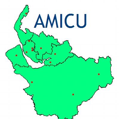AMICU Profile