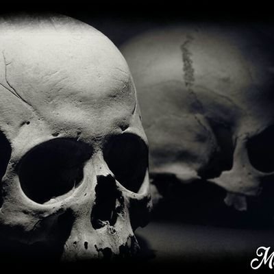 Dr_Krim_89's profile picture. 