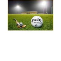 Limerick City GAA (@citygaa) Twitter profile photo