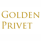 ItDueDiligence's profile picture. IT Due Diligence, Assessment, and Strategic Planning