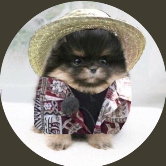 k_pop_lover2's profile picture. A.R.M.Y @BTS_twt my first love [FAN ACCOUNT]