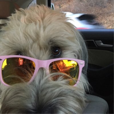 ldimartino94jtm's profile picture. 