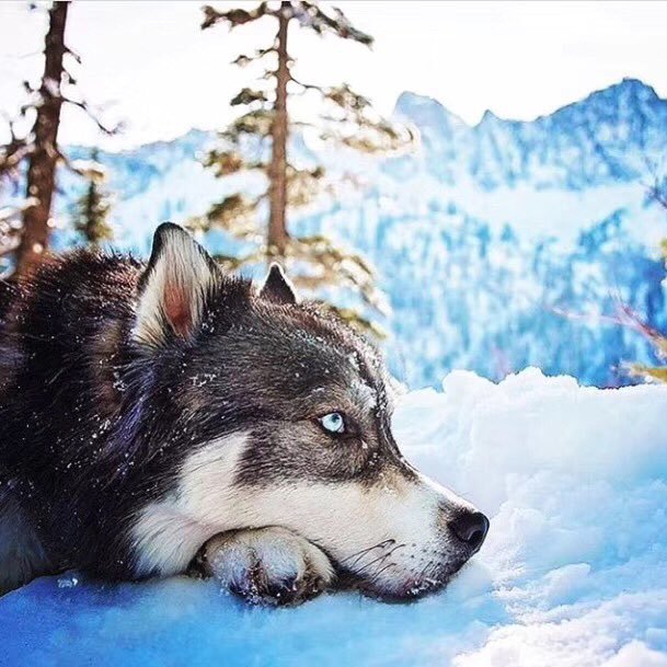 成都CDJiewa Profile