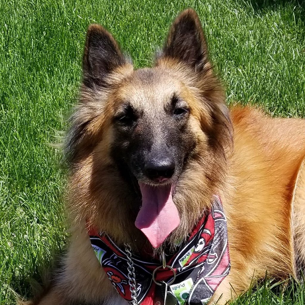 Att'y representing management in employment law matters. Crohn's patient/advocate. Belgian Tervuren fan. Firefighter rights.