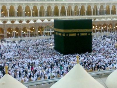 davod508's profile picture. ‏‏‏معلم ، پدر ،