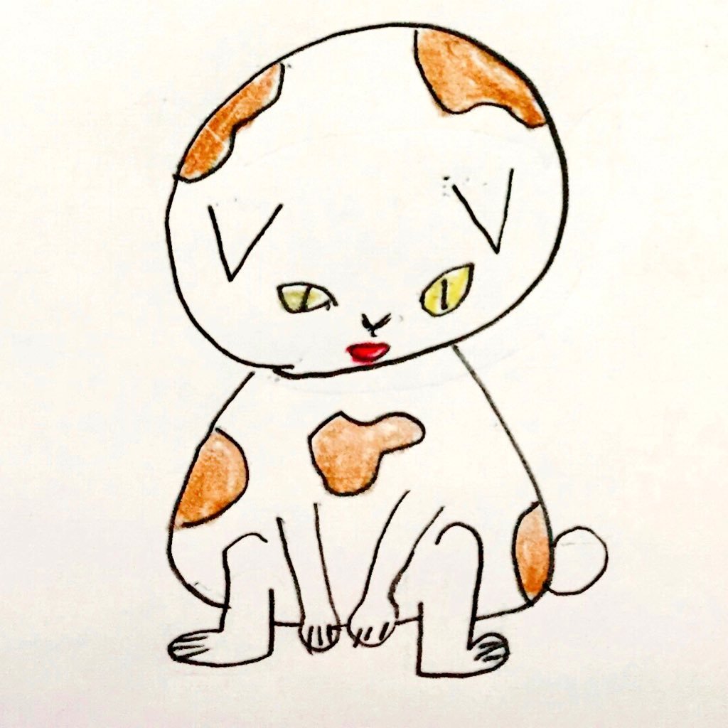 さんきょーねこさんのプロフィール画像