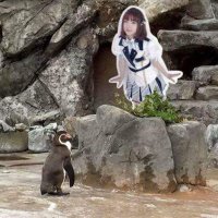 Chonchon (@chonchonjung) 's Twitter Profile