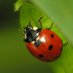 JRebel (@ladybugtwitt) Twitter profile photo JRebel (@ladybugtwitt) Twitter profile photo