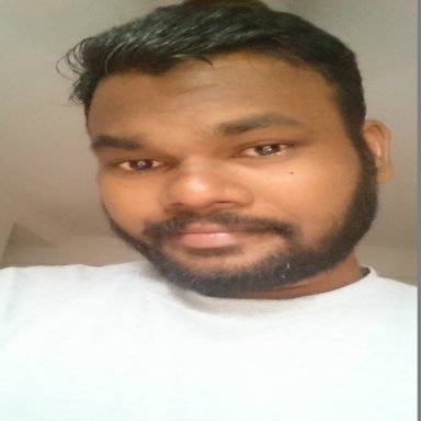 ppudemysupport's profile picture. Wordpress Developer