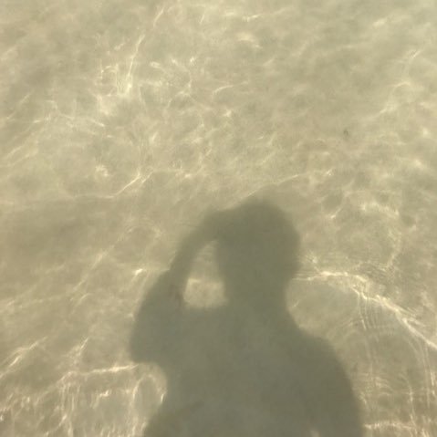 h_syk207's profile picture. 読書　学びメモ　備忘録