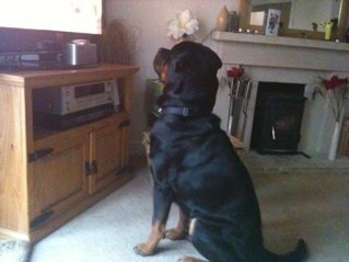 hattisacutie's profile picture. Wife of Richard, Mum of the very cute Harriet