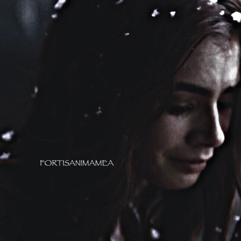 ⠀ ⠀⠀⠀ ┆┈ 〉⠀;❛ Lɪᴛᴛʟᴇ ɢɪʀʟ ᴡʜᴏ ⠀ ⠀ ⠀ ⠀⠀⠀ ⠀ ⠀ ⠀ ⠀⠀⠀ ⠀ ⠀ sᴛᴏᴘᴘᴇᴅ ᴀ ʙɪɢ ᴡᴀʀ. ❜