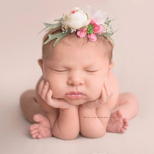 MilClics's profile picture. Photographe