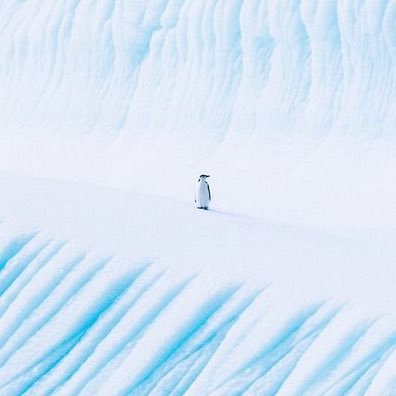 untitled010814's profile picture. 