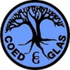 CoedGlas Profile Picture