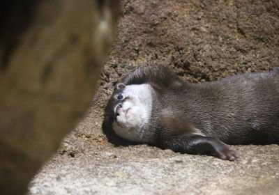 abcdsed44's profile picture. 뇽뇽이에뇽!
화장! 미드! 피아노!노래! 좋아해용!!!