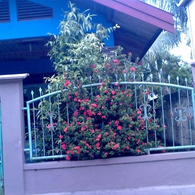 Andy27658310's profile picture. cuma sekedar ngetweet aja .. pemula tolobg di ajarin