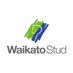 Waikato Stud (@WaikatoStud) Twitter profile photo